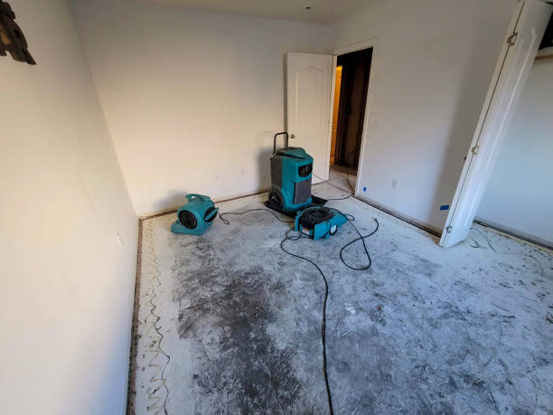  Windy Hills, KY Water damage restoration Pros