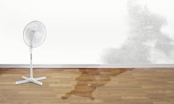 Best Flood restoration services  in Windy Hills, KY