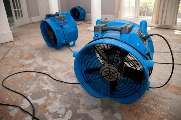 Best Water damage restoration services  in Windy Hills, KY